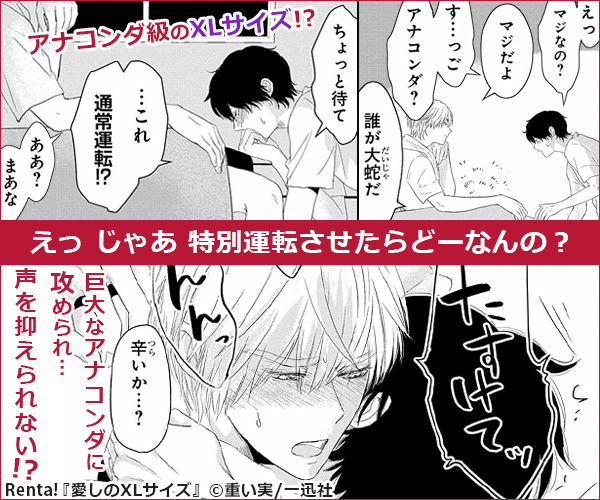 愛しのXLサイズ