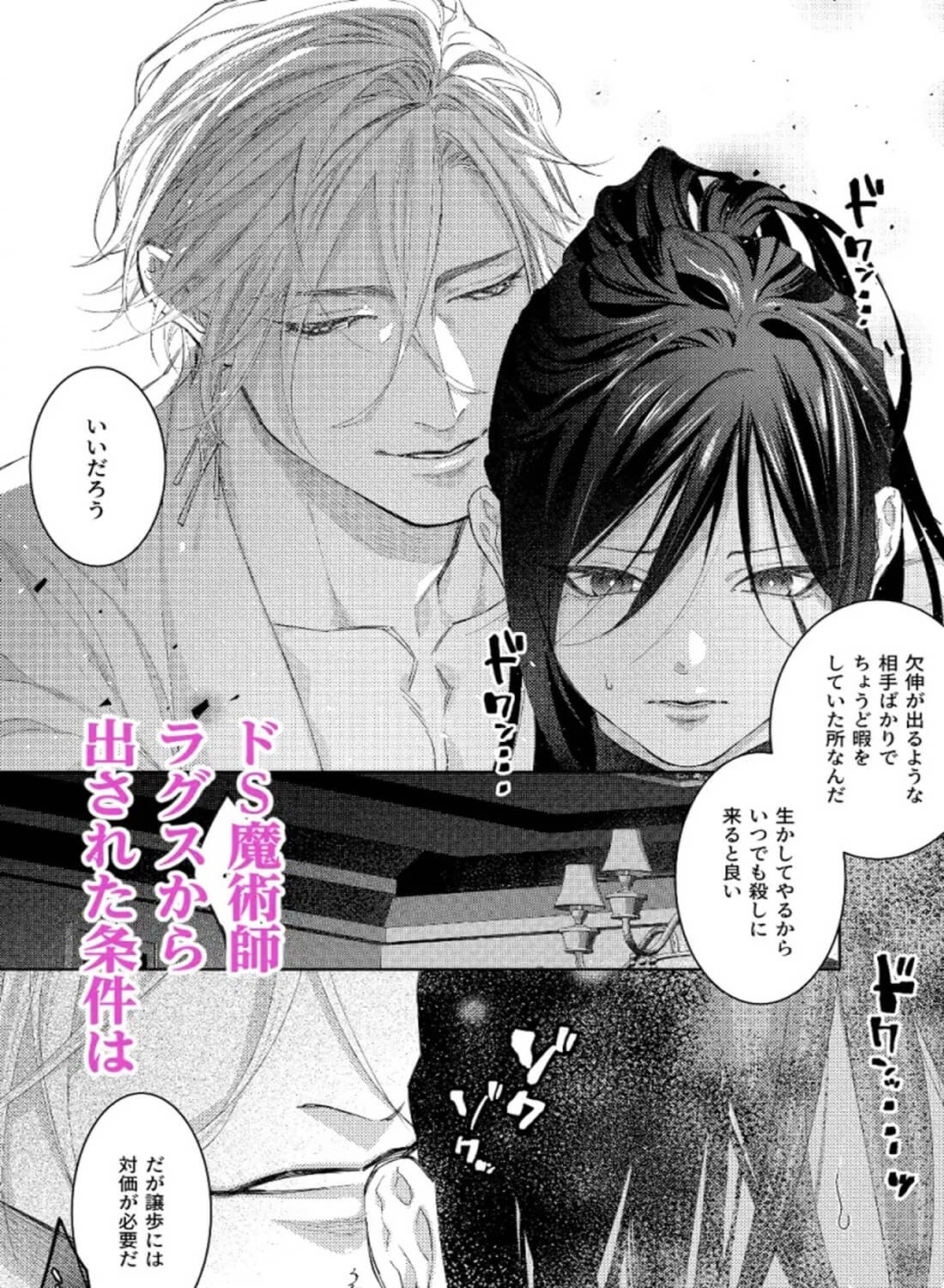 暗殺者は執着魔術師を殺せない ～ドS魔術師の強○中出しで淫紋発情セックス～ - 005