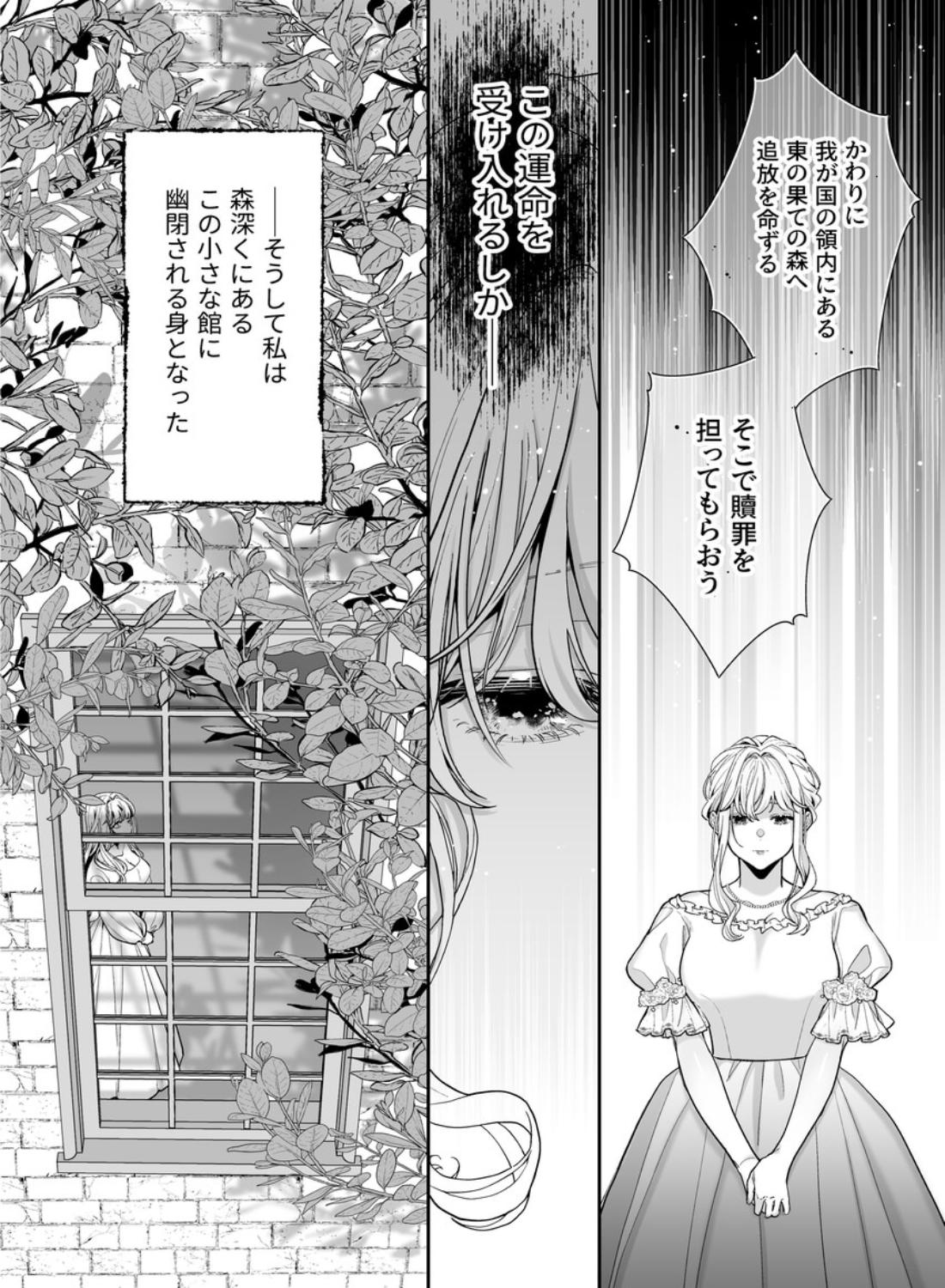 追放された悪役令嬢は呪われた怪物に蜜を啜られその執愛から逃げられない - 014