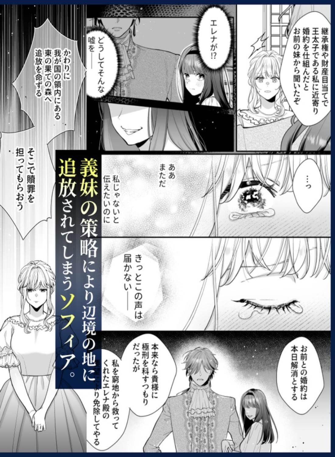 追放された悪役令嬢は呪われた怪物に蜜を啜られその執愛から逃げられない - 046