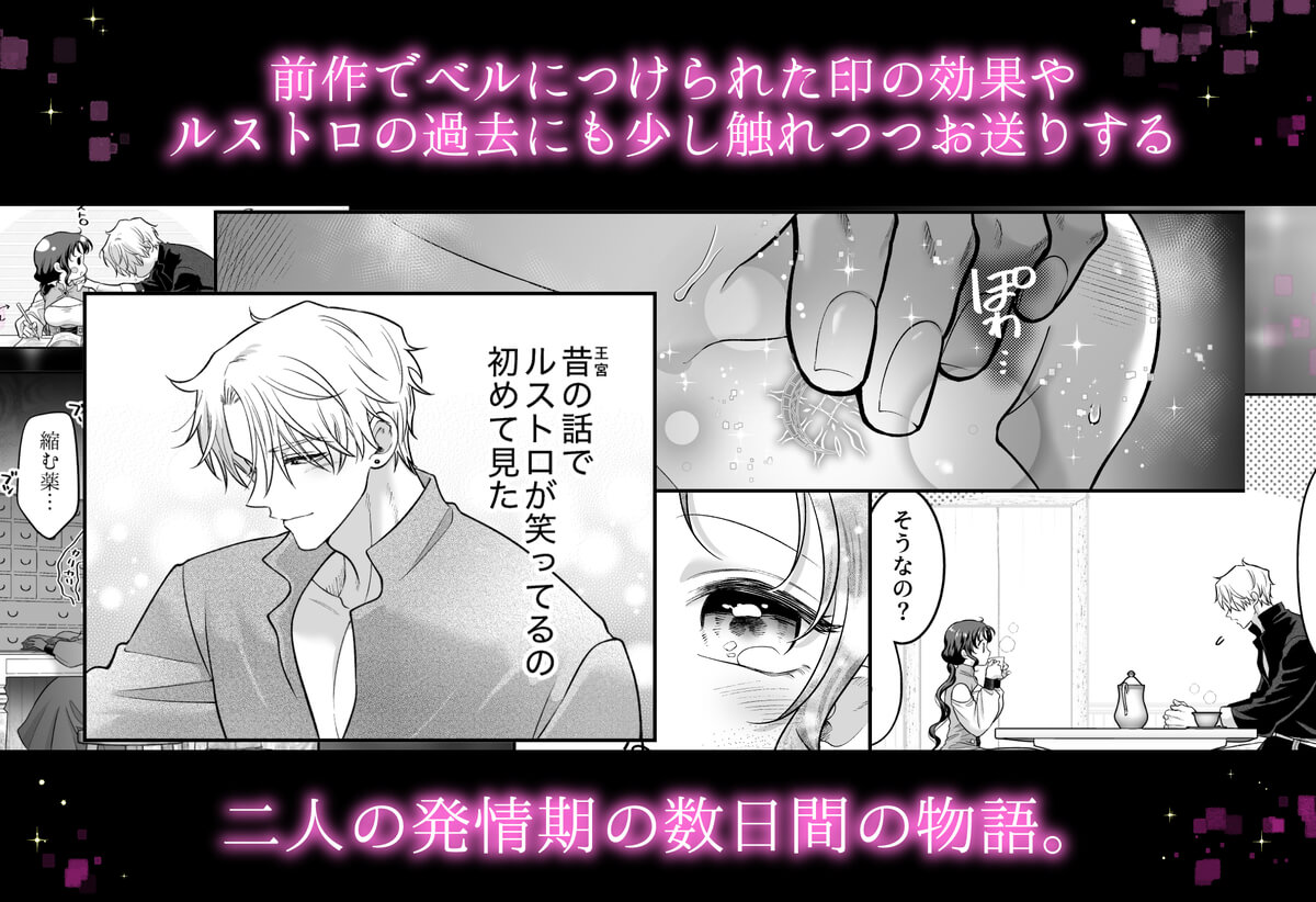 本音を隠した治療師は竜人サマに身体の奥まで暴かれる〜春情の章〜 - 011