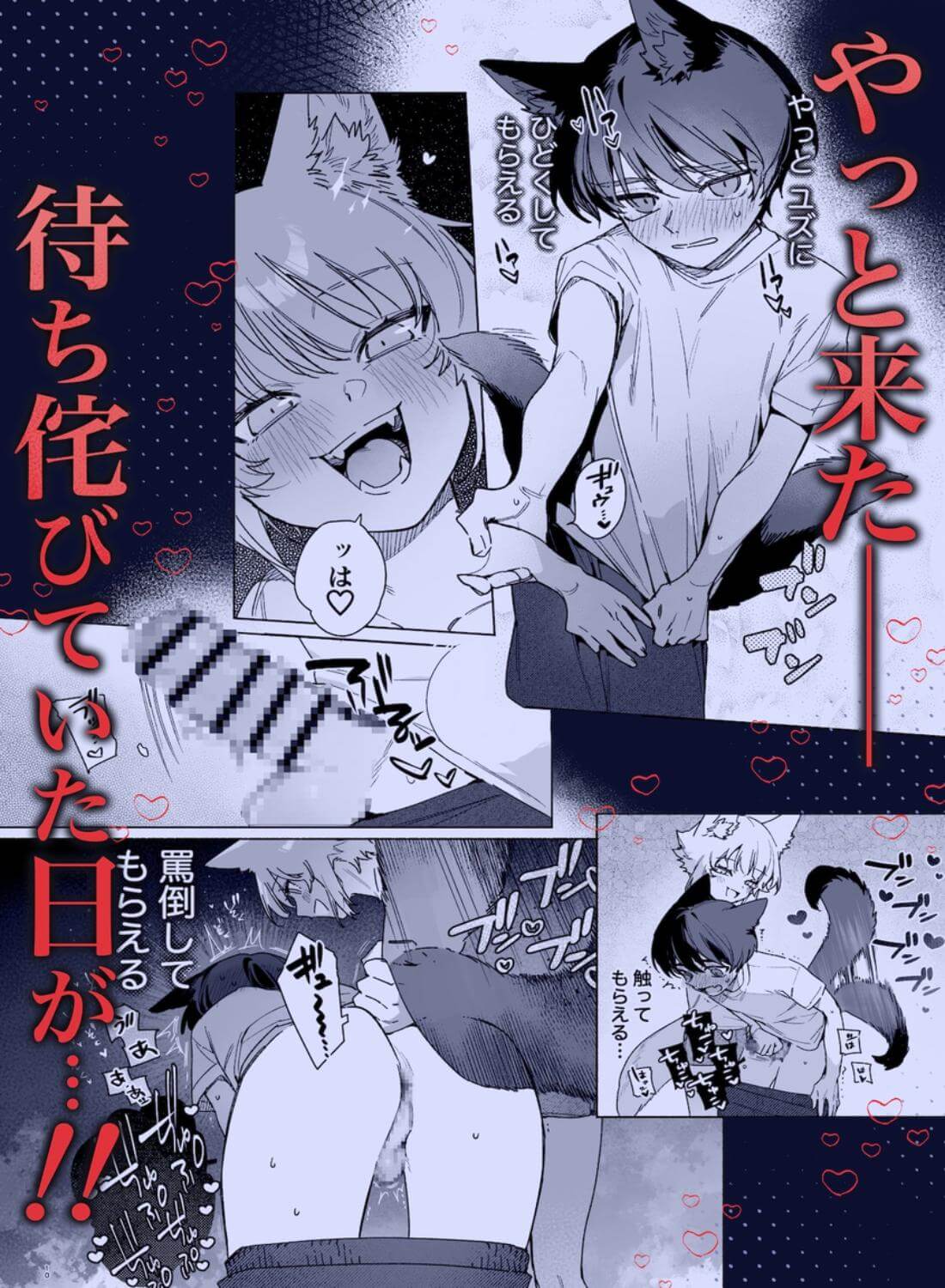 ♂が受け。コヨーテちゃん×甲斐犬くん2 - 005