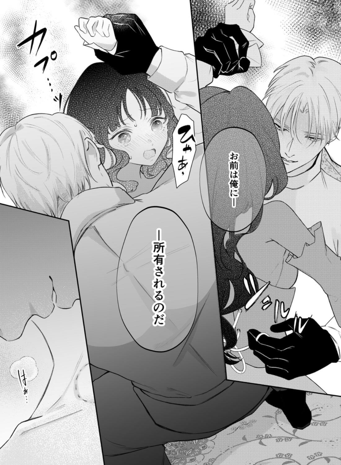 娼婦となった令嬢は冷酷な侯爵の慰みもの - 023