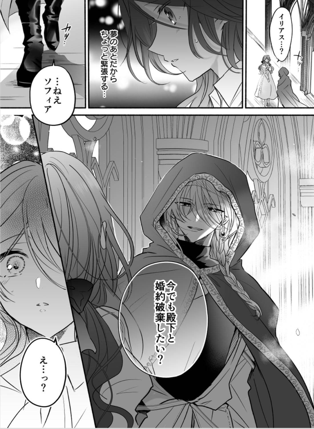 魔術師の偏愛〜バッドED転生悪役令嬢、宿敵のはずだった侍従に囚われる〜 - 026