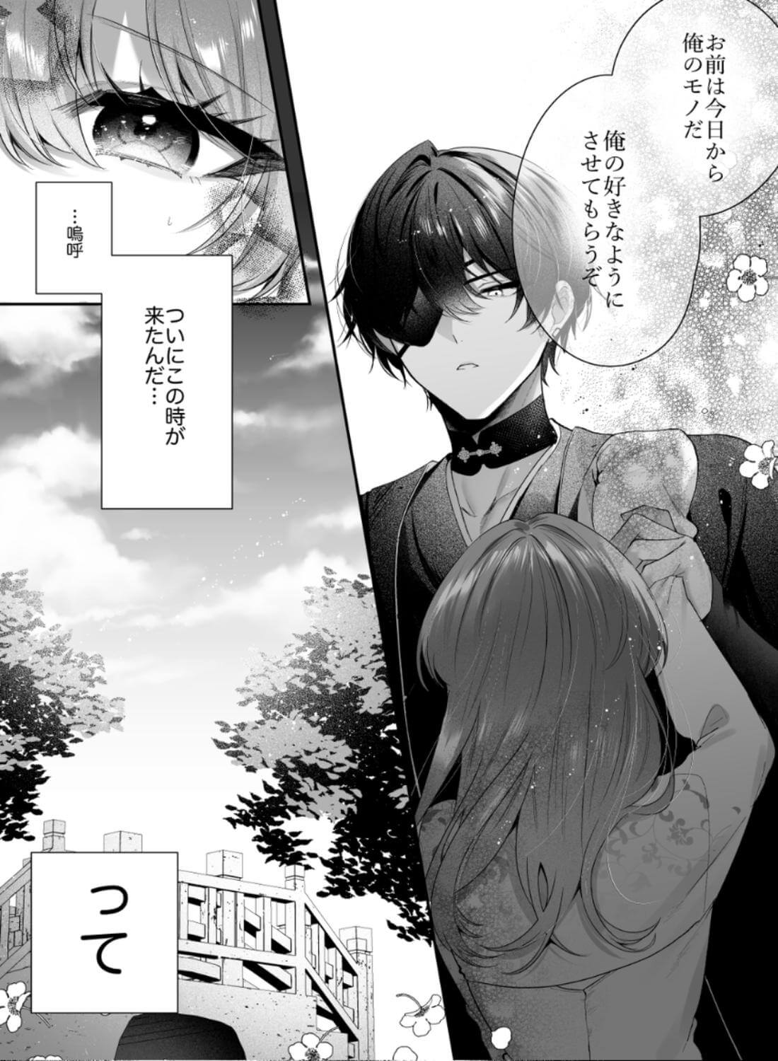 桃心照月〜不器用な彼が積年焦がれた分、それ以上に私を愛する迄〜 - 005