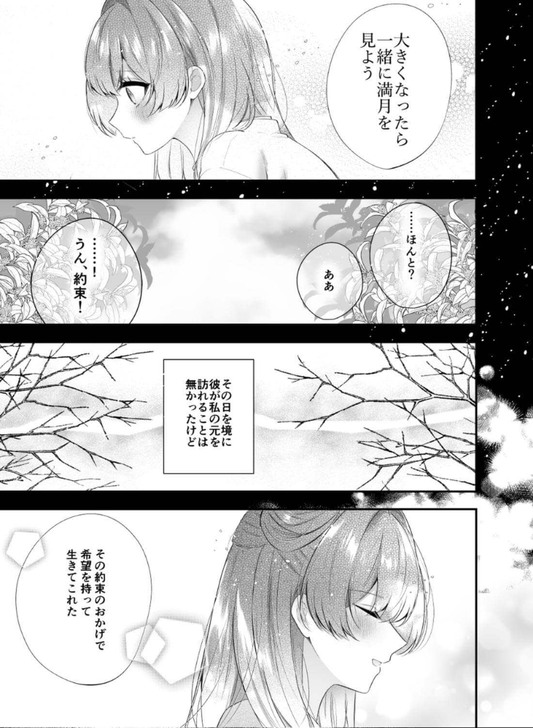 桃心照月〜不器用な彼が積年焦がれた分、それ以上に私を愛する迄〜 - 014