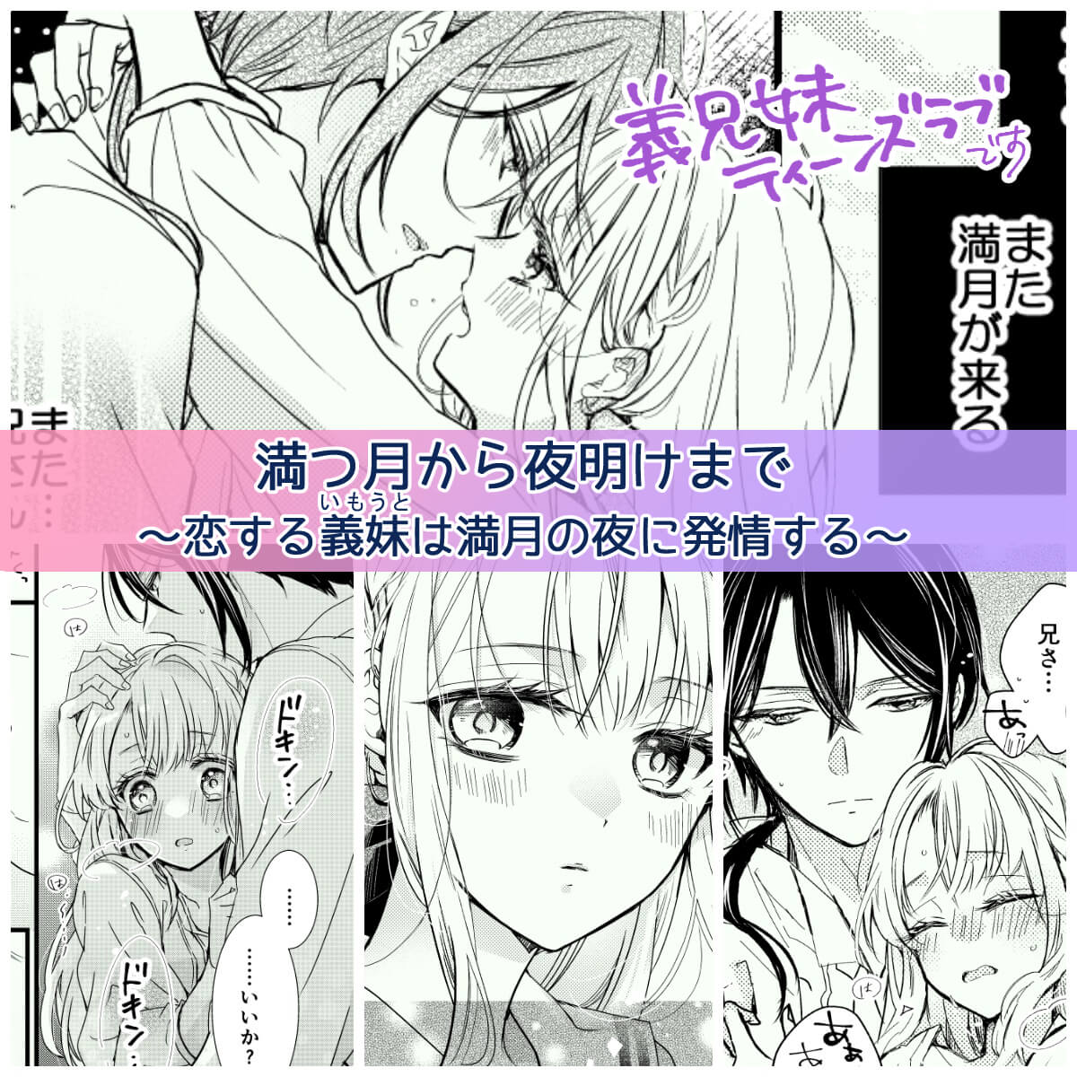 満つ月から夜明けまで ～恋する義妹は満月の夜に発情する～ - 002