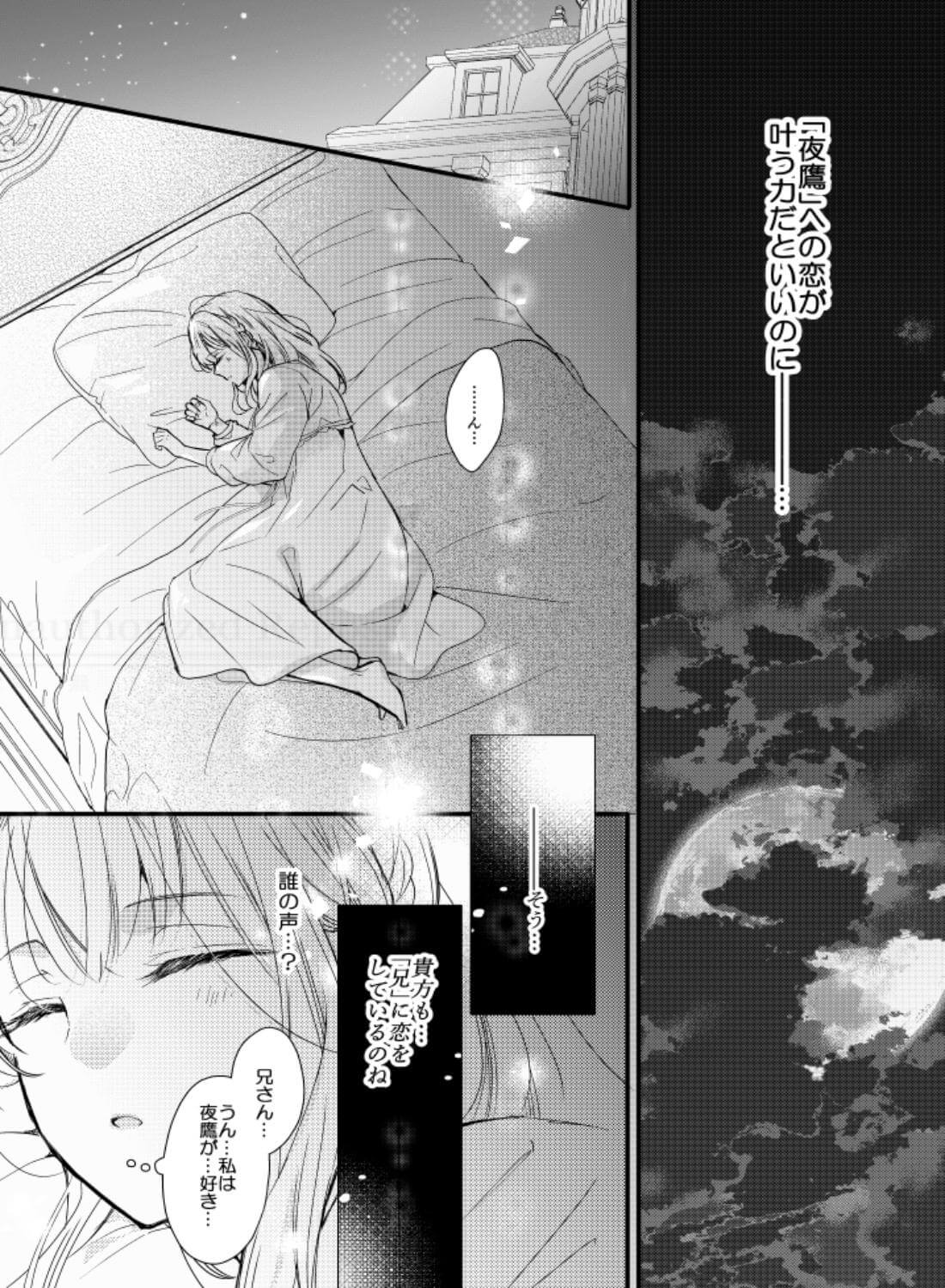 満つ月から夜明けまで ～恋する義妹は満月の夜に発情する～ - 013