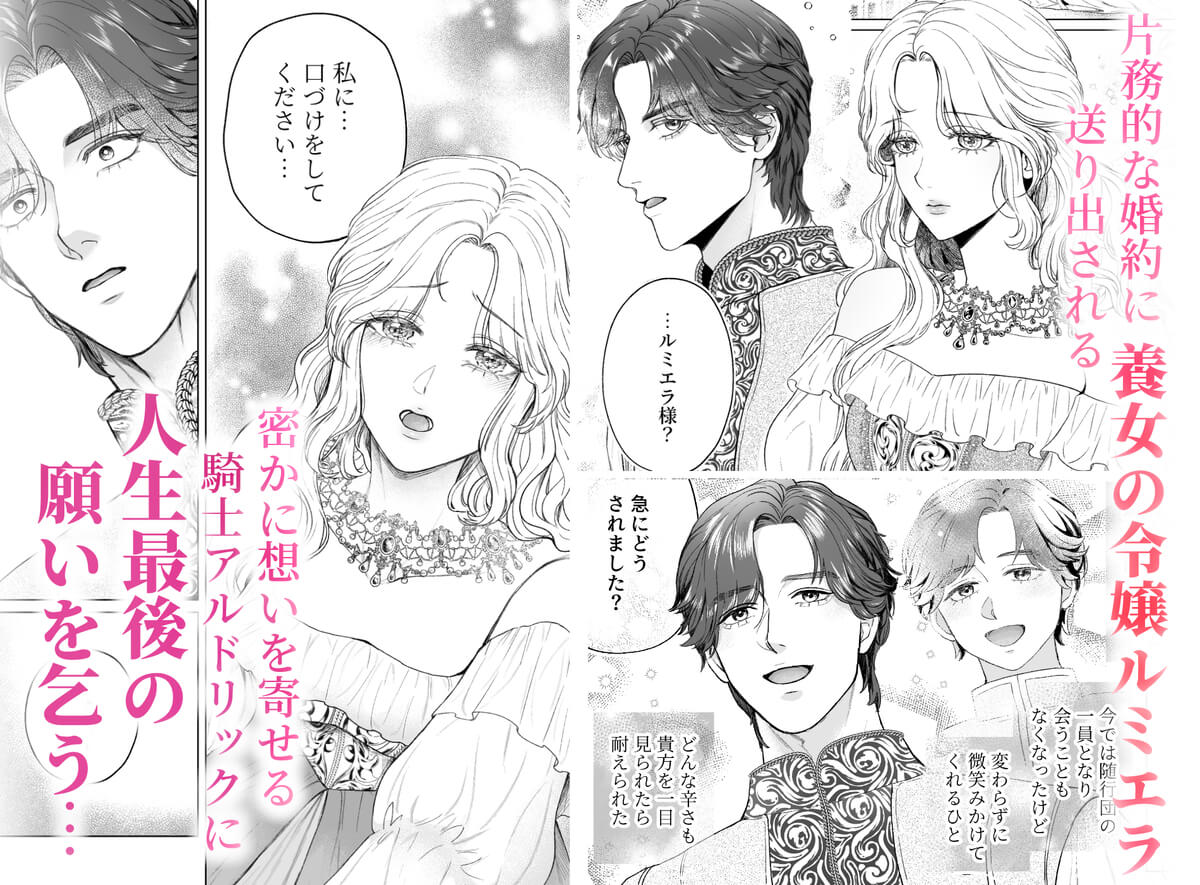 執愛騎士は花嫁を逃がさないー最後の夜にくちづけをー - 003