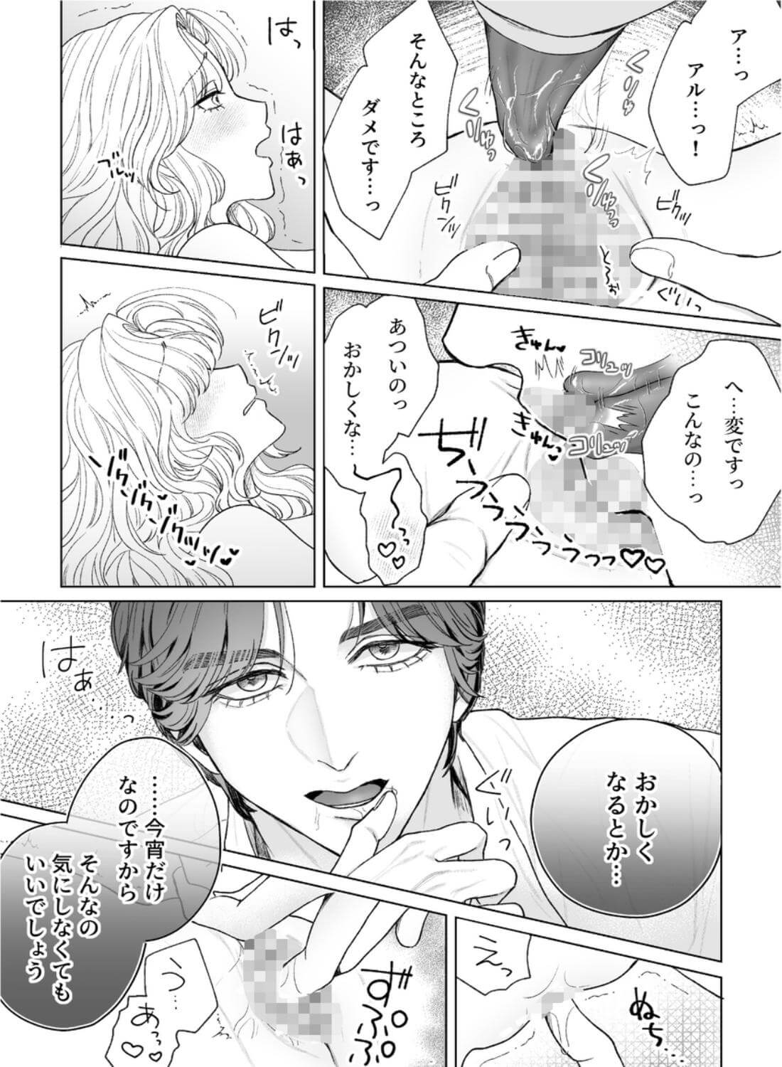 執愛騎士は花嫁を逃がさないー最後の夜にくちづけをー - 011