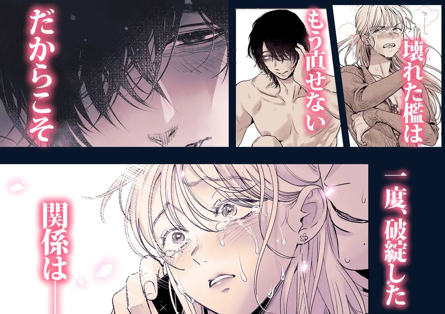 檻の中のけだもの~弟だと思っていた年下男子に抱き潰された夜~ - 008