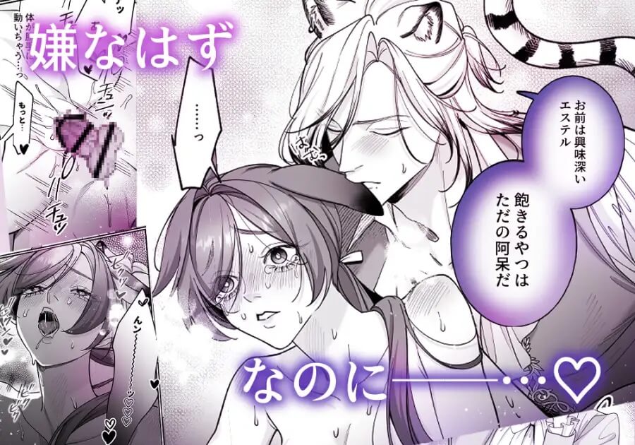 遊び人トラ辺境伯はうさぎさんに理性崩壊中 - 011