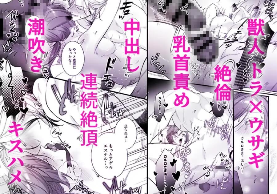 遊び人トラ辺境伯はうさぎさんに理性崩壊中 - 015