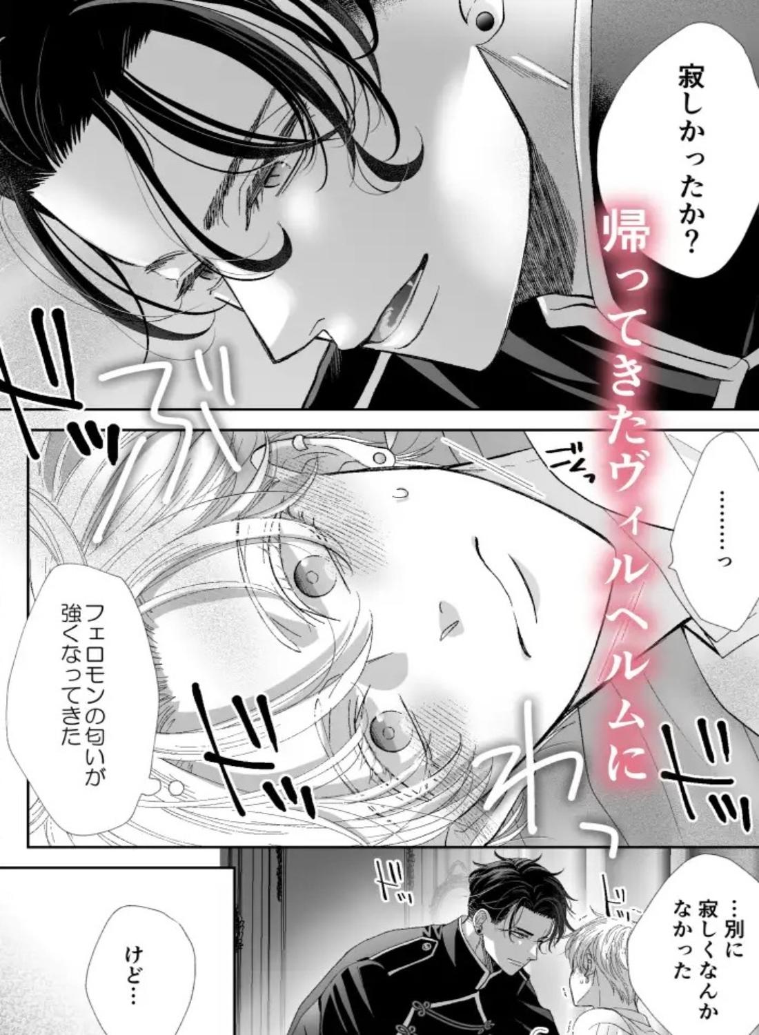 辺境伯騎士の執着婚II - 011