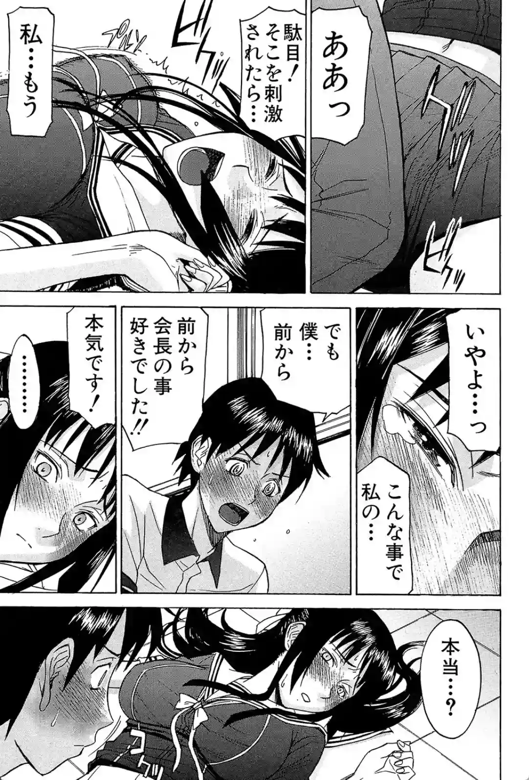 いたずら専用 華比良生徒会長 - 016