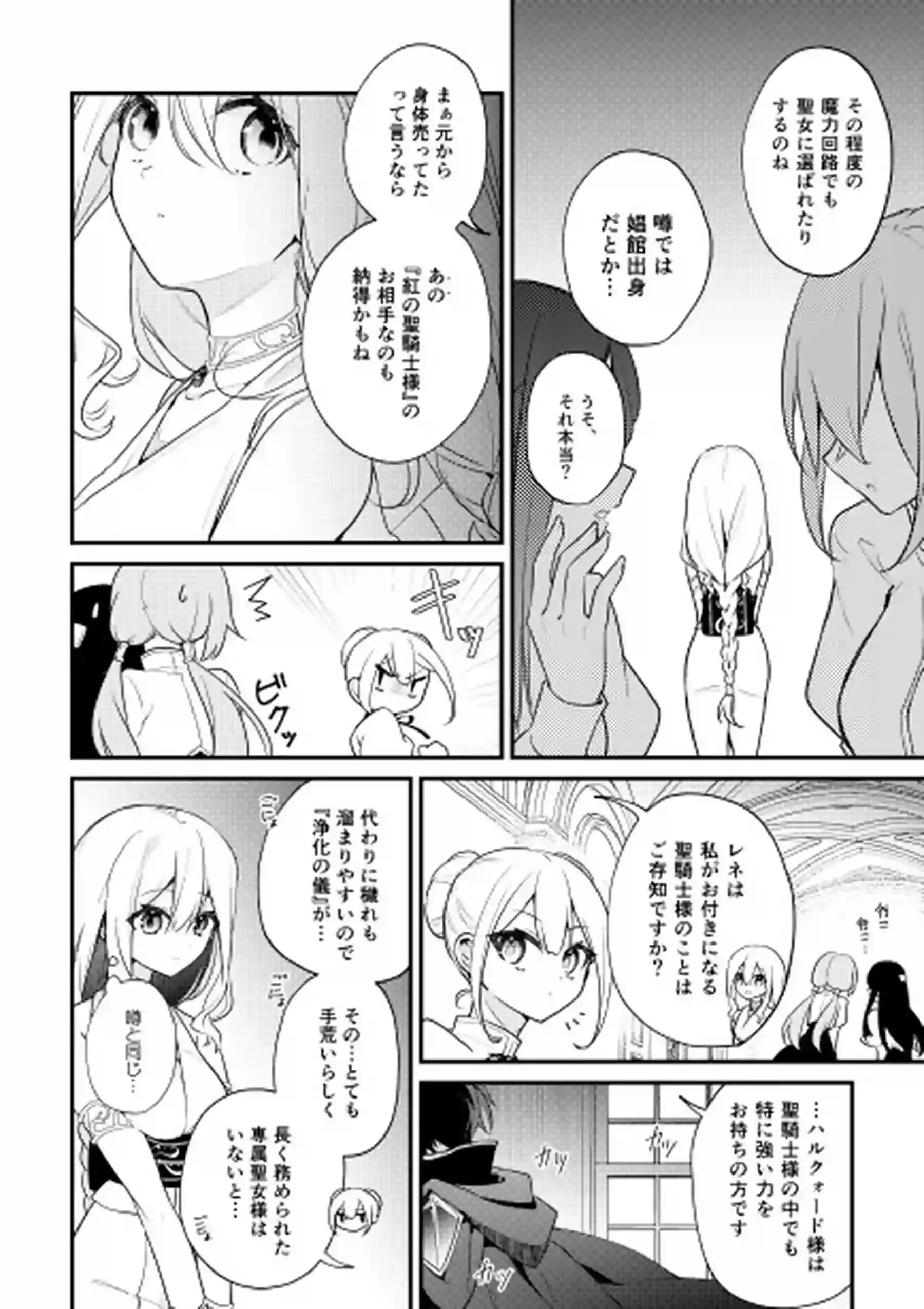 聖騎士の専属聖女 -訳あり聖女は穢れの聖騎士と誠実な儀をする- - 005