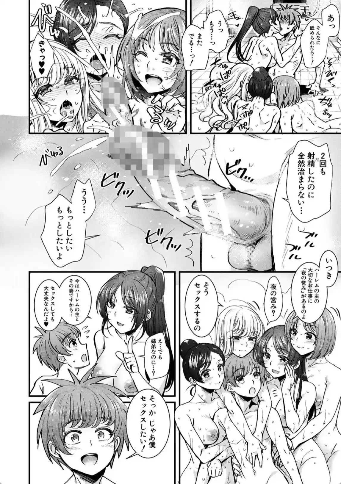 四姉妹は弟とハーレムしたい！ - 007