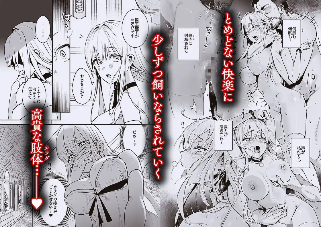 王女陥落2 - 003