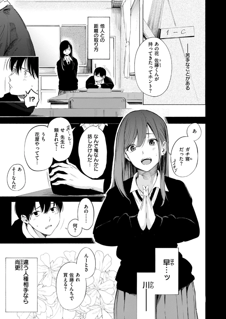 ゼラニウム - 002