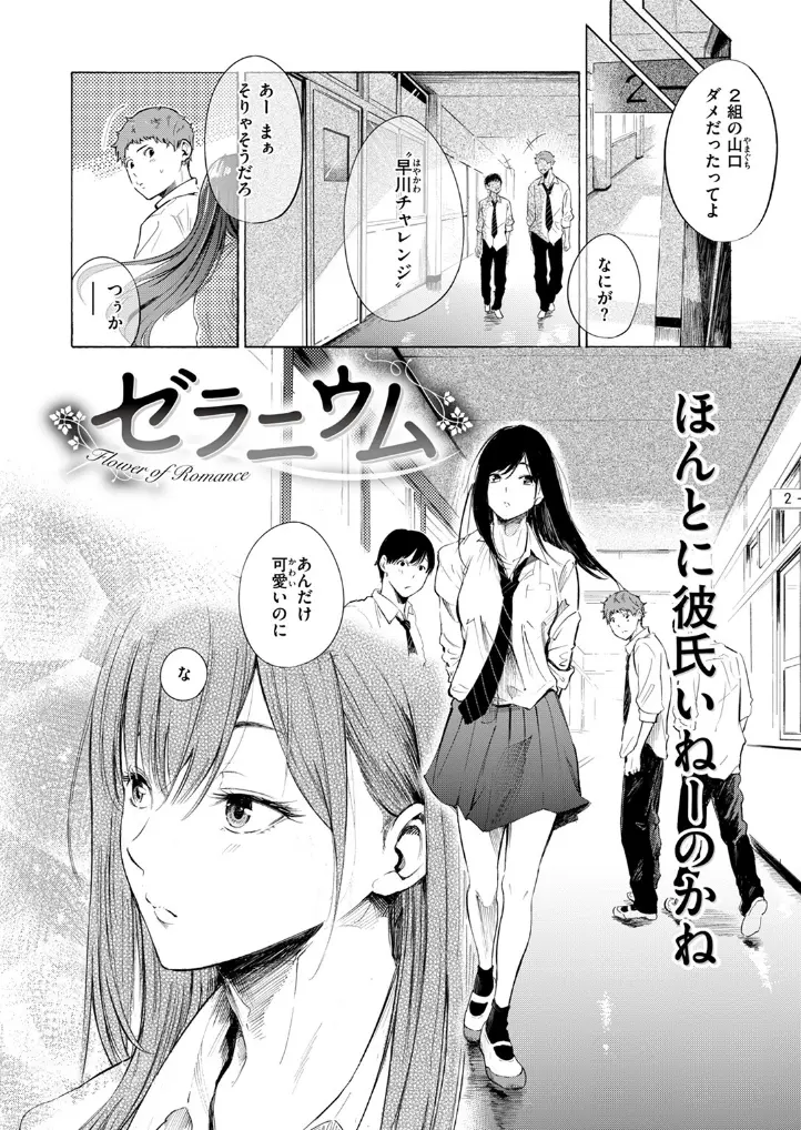 ゼラニウム - 003