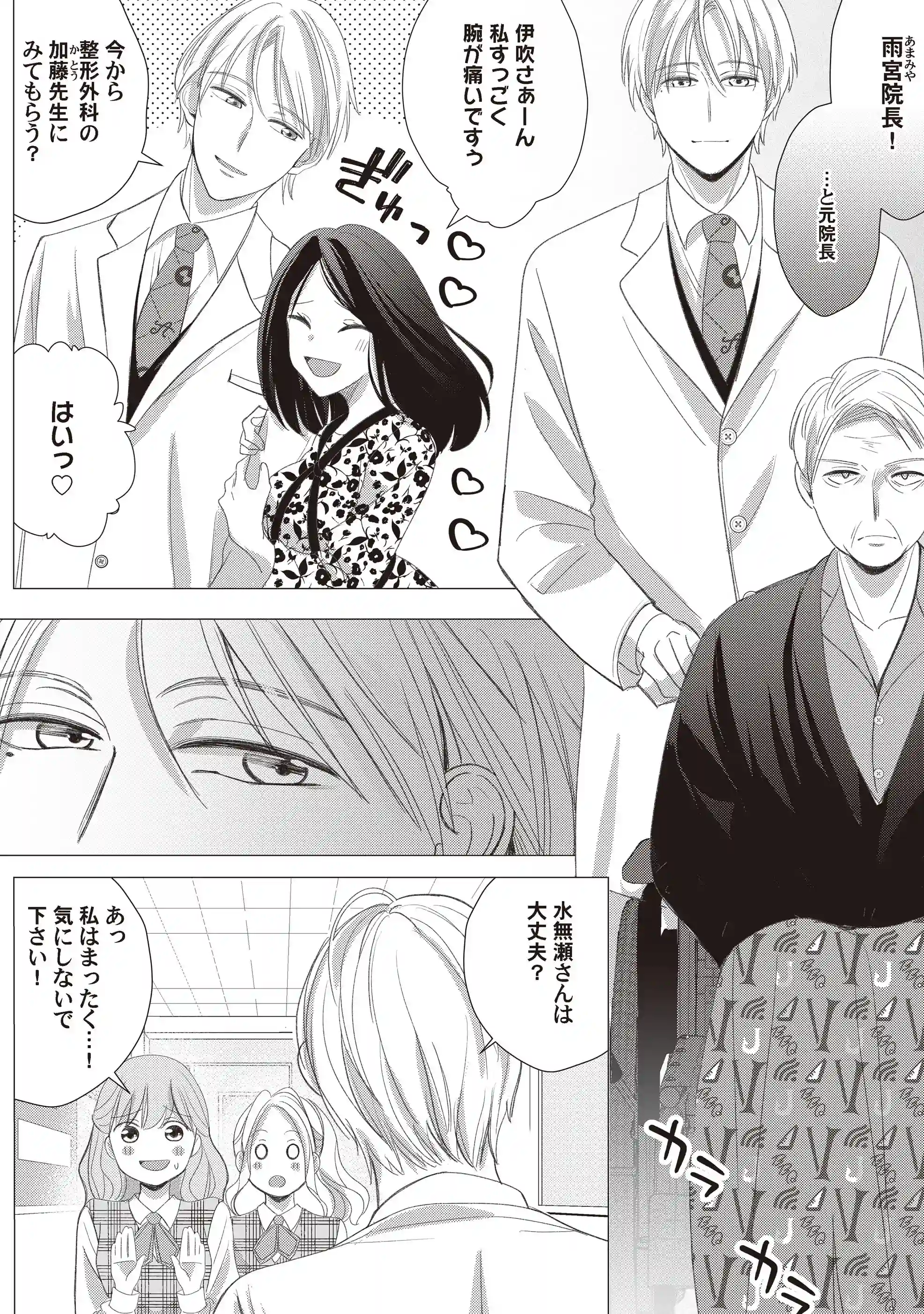 雨宮兄弟の歪んだ溺愛～執着ドクターと堕ちる共依存交尾～ - 011