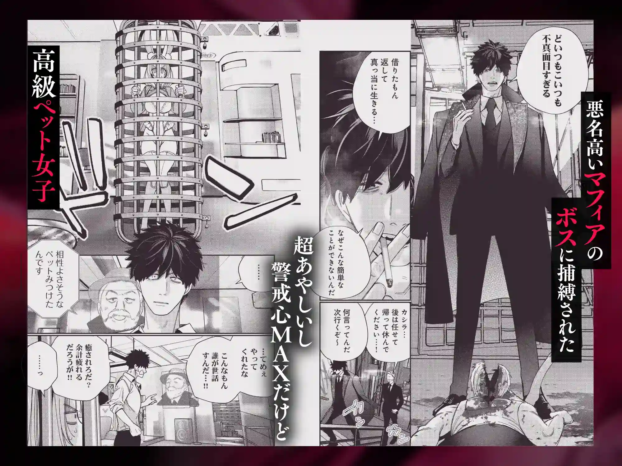 社畜マフィアと愛玩ウサギ～不本意ですが、種付け交尾にメス堕ちしました～ - 002