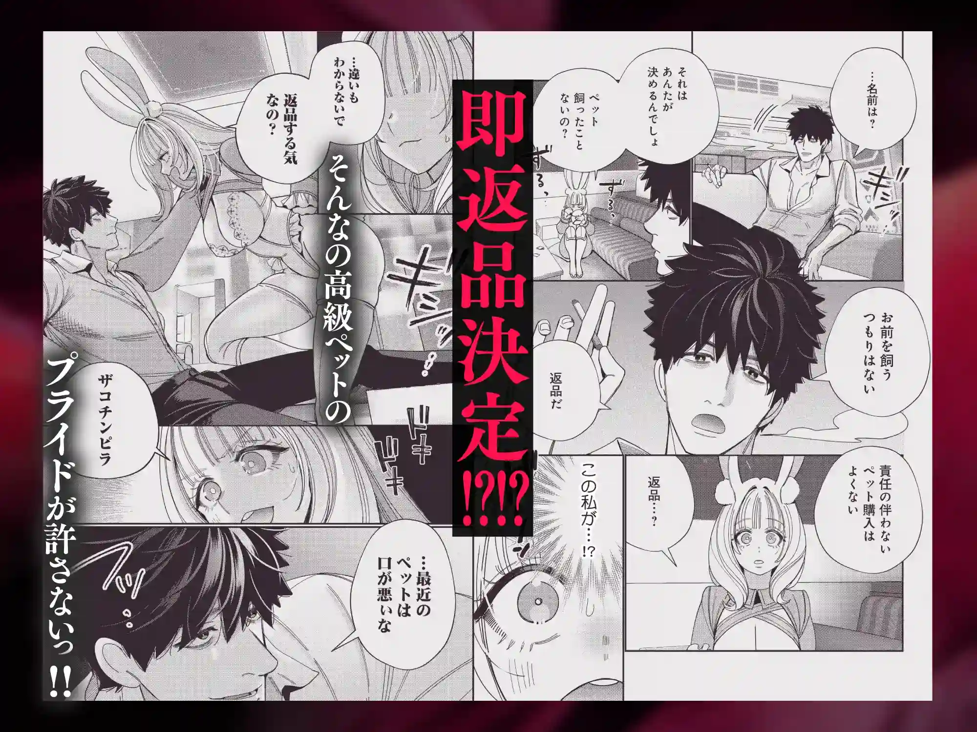 社畜マフィアと愛玩ウサギ～不本意ですが、種付け交尾にメス堕ちしました～ - 003