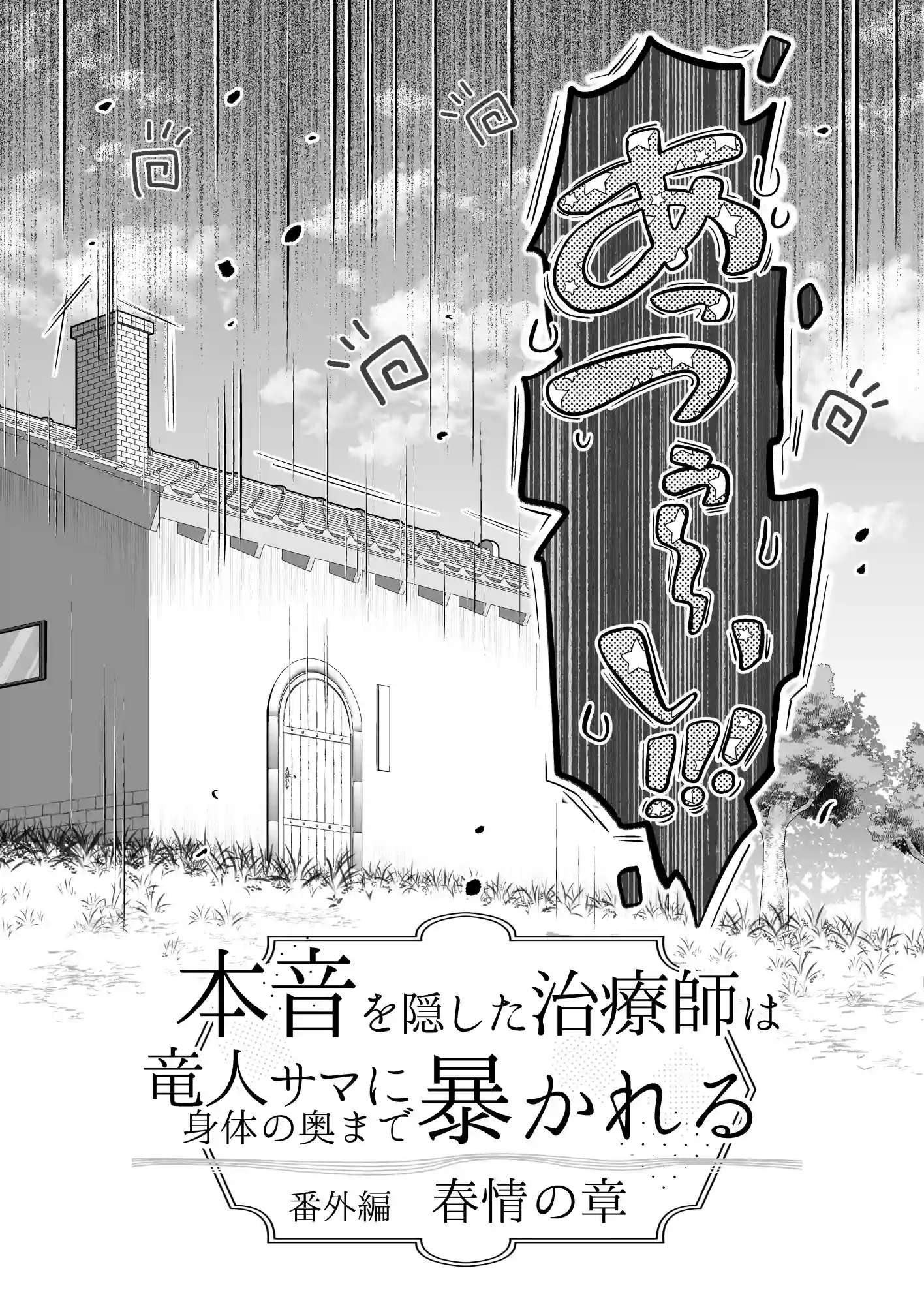 本音を隠した治療師は竜人サマに身体の奥まで暴かれる〜春情の章〜 - 003