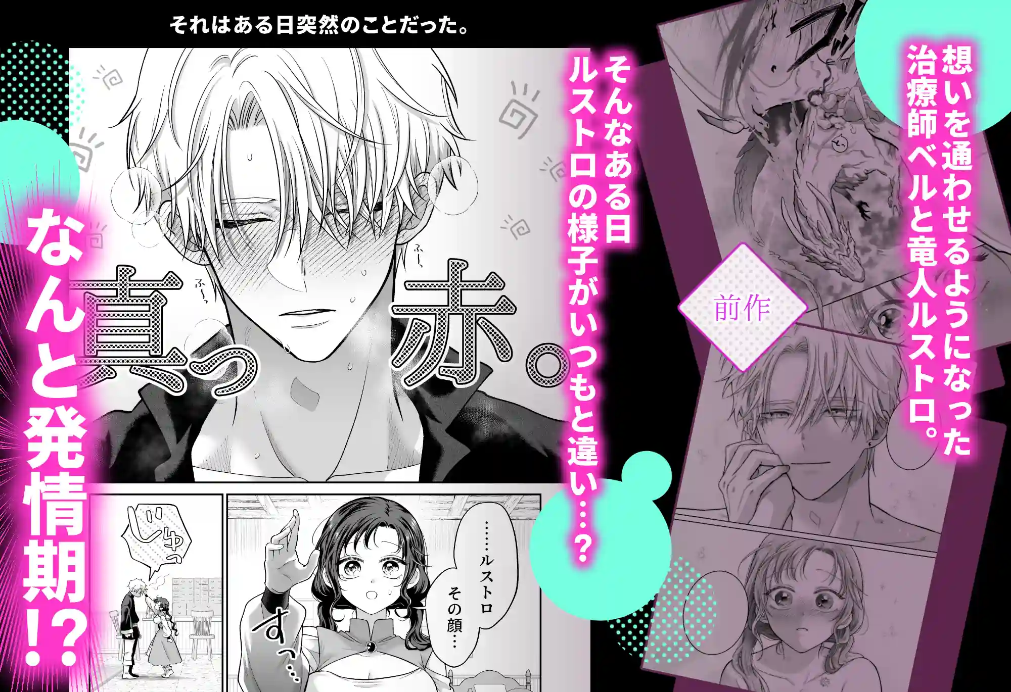 本音を隠した治療師は竜人サマに身体の奥まで暴かれる〜春情の章〜 - 008