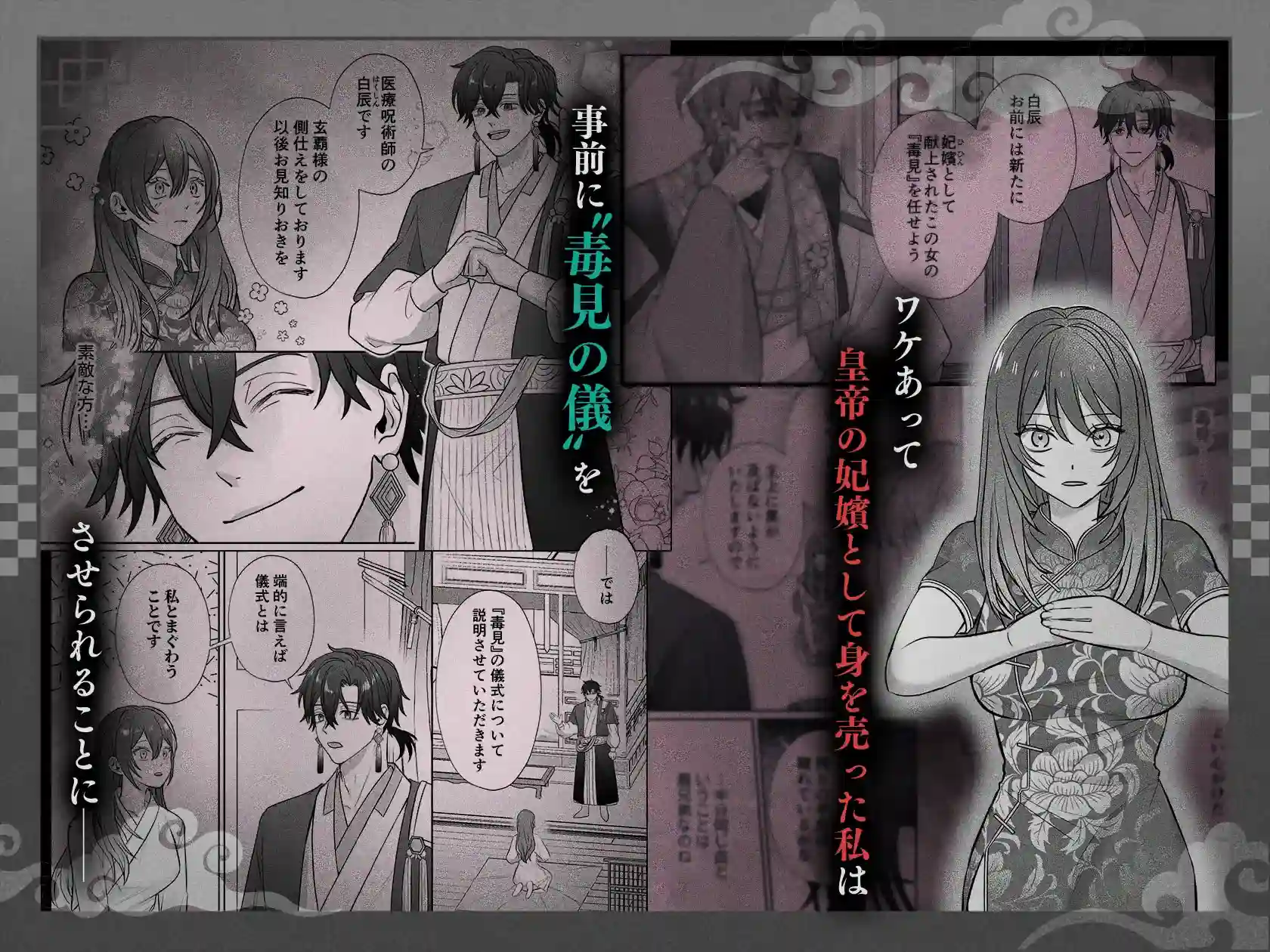 皇宮呪術師の隷属閨事～愛してくれるまで舐めてハメて抱き潰す～ - 003