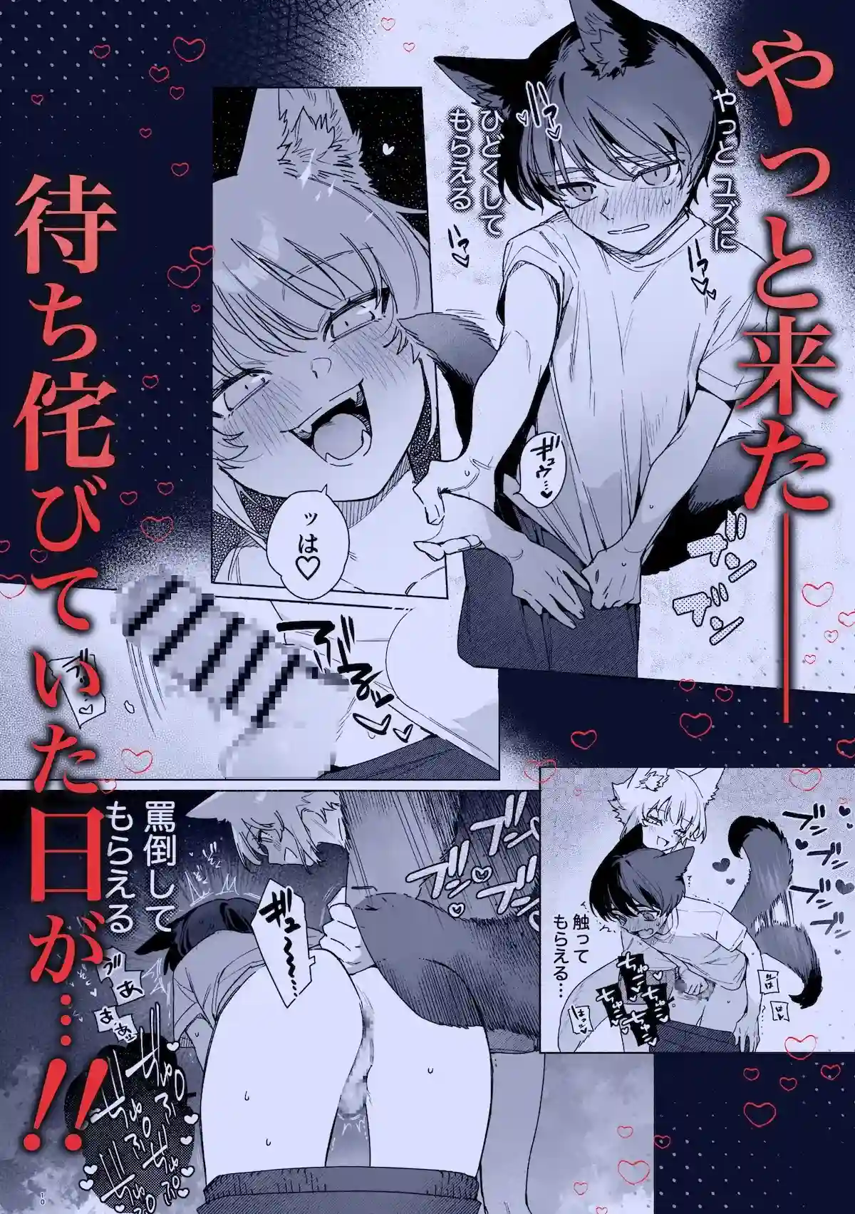 ♂が受け。コヨーテちゃん×甲斐犬くん2 - 005