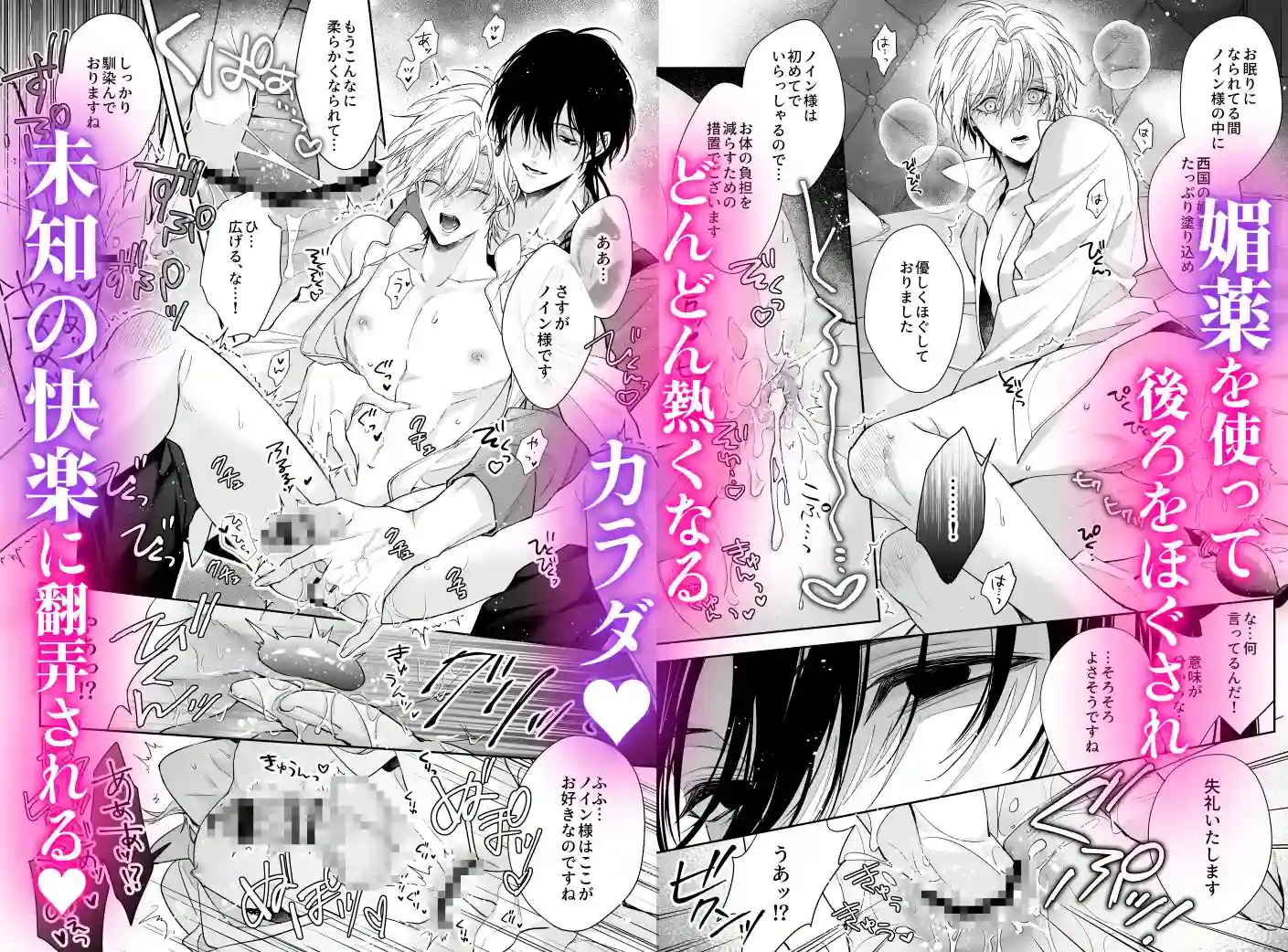 ご主人様の堕とし方～転生した悪役令息は溺愛騎士の執着から逃げられない～ - 005