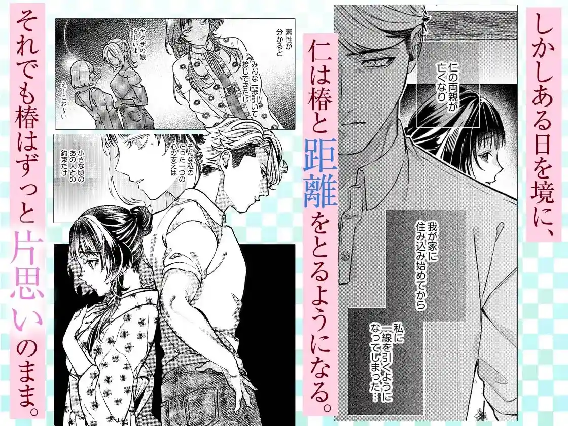 こじらせ溺愛ヤクザは愛してるが言えない～抱いてくれるまで諦めません！ - 003