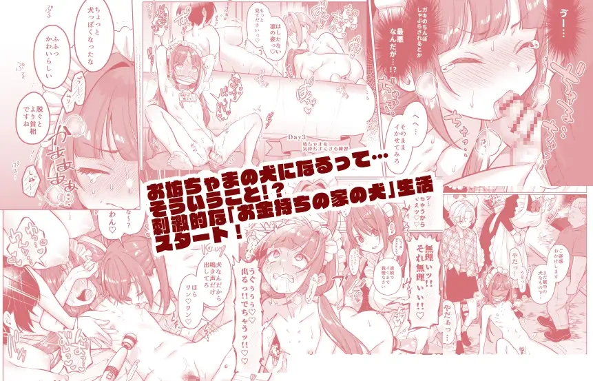 お屋敷わんだふるライフ～メイド採用だと思ったら、犬にされました～ - 008