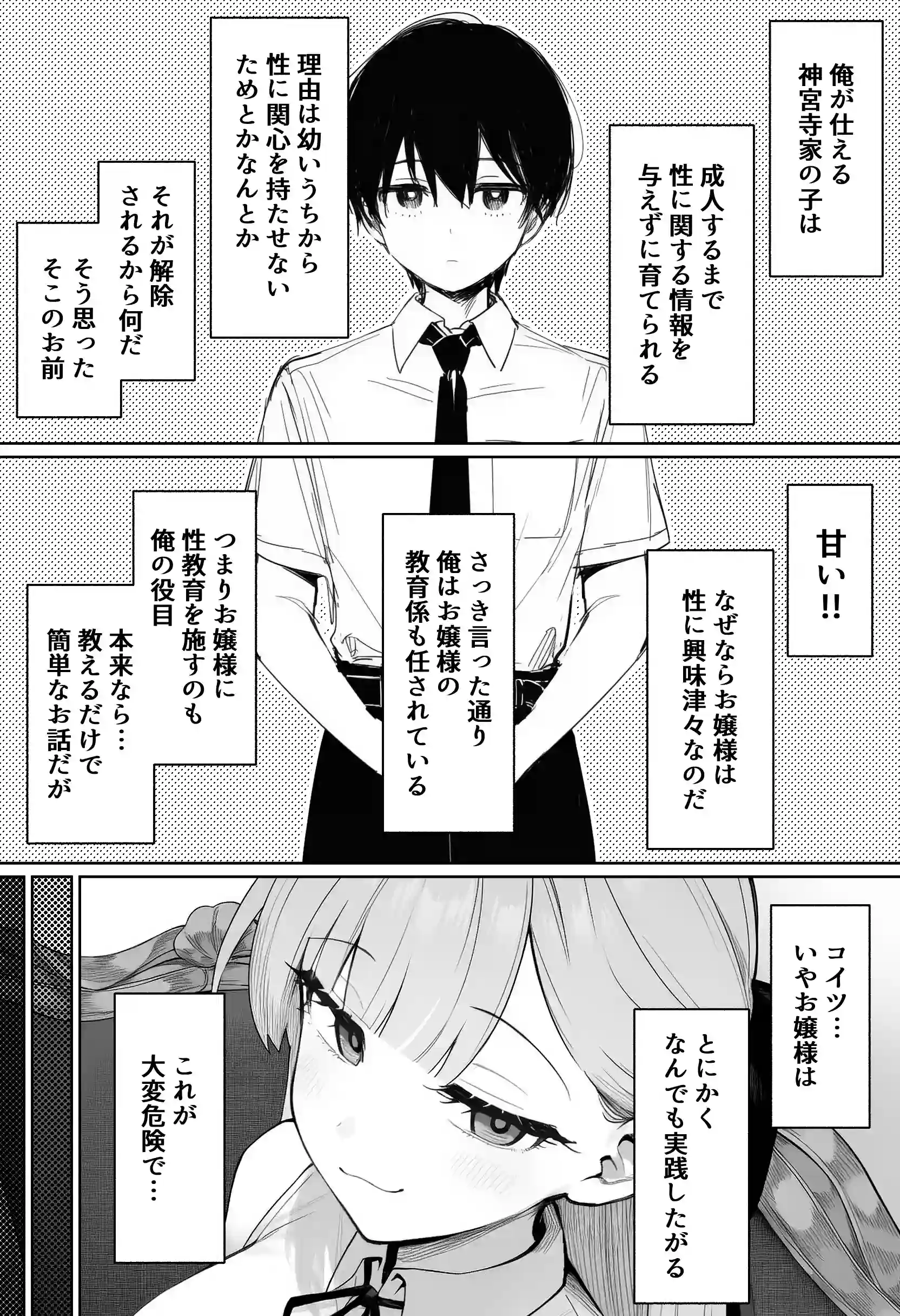 お嬢様はセックスをご所望です - 005