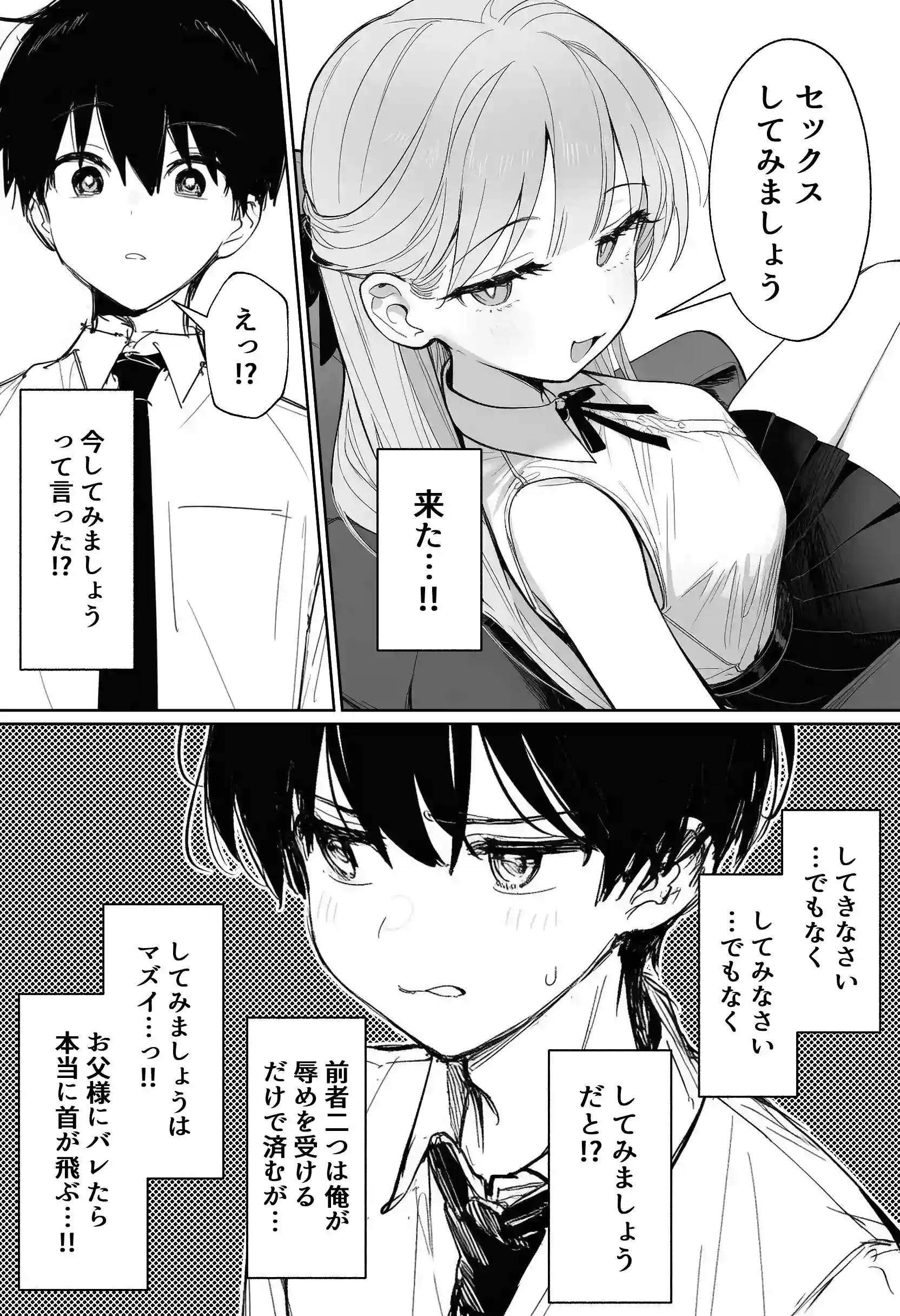 お嬢様はセックスをご所望です - 011